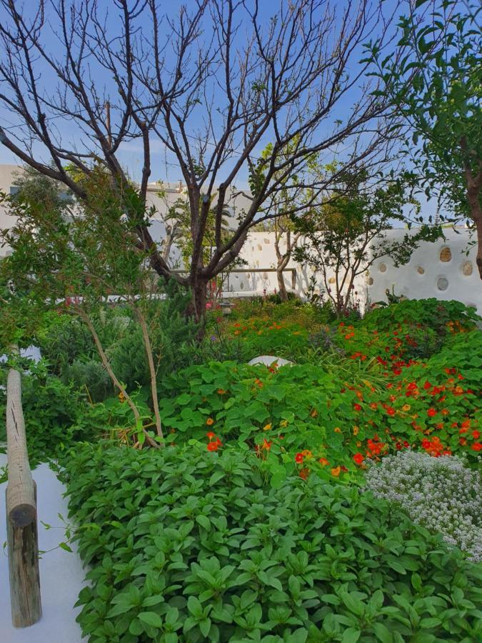 Ermis Koufonissi Apartment Koufonisia